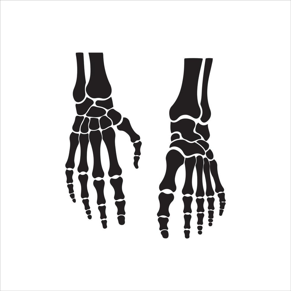 Black silhouette of human hands and feet skeletal structures vector