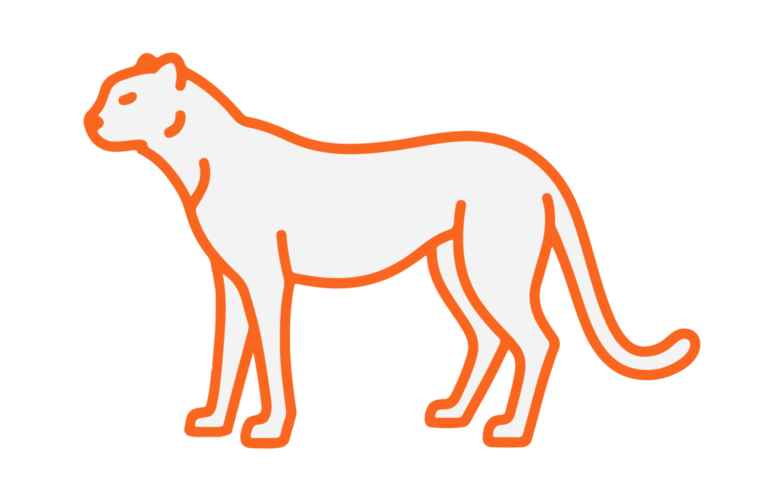 Minimalist Orange Outline of a Jaguar Standing on Transparent Background This image features png
