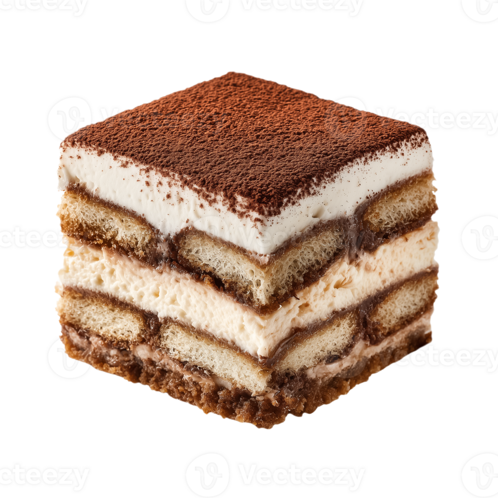 Tiramisu dessert isolated on transparent background png