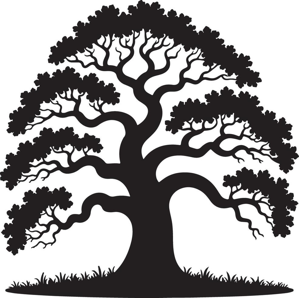 Black Silhouette of a Large Deciduous Tree with Thick Trunk and Spreading Branches Set Against a White Background with Silhouetted Grass at the Base vector