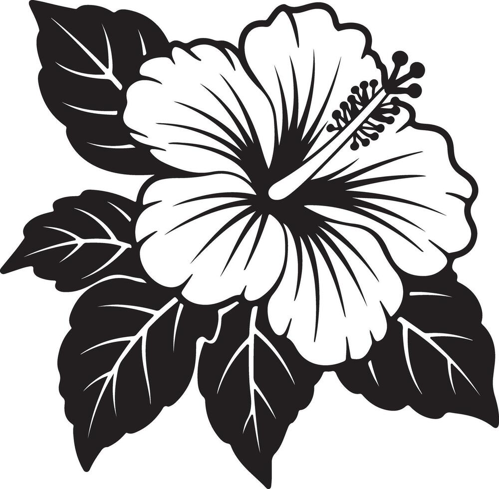 Black and White Hibiscus Flower Silhouette with Bold Leaves Detailed Graphic Design Element Tropical Floral Illustration Botanical Art Print vector