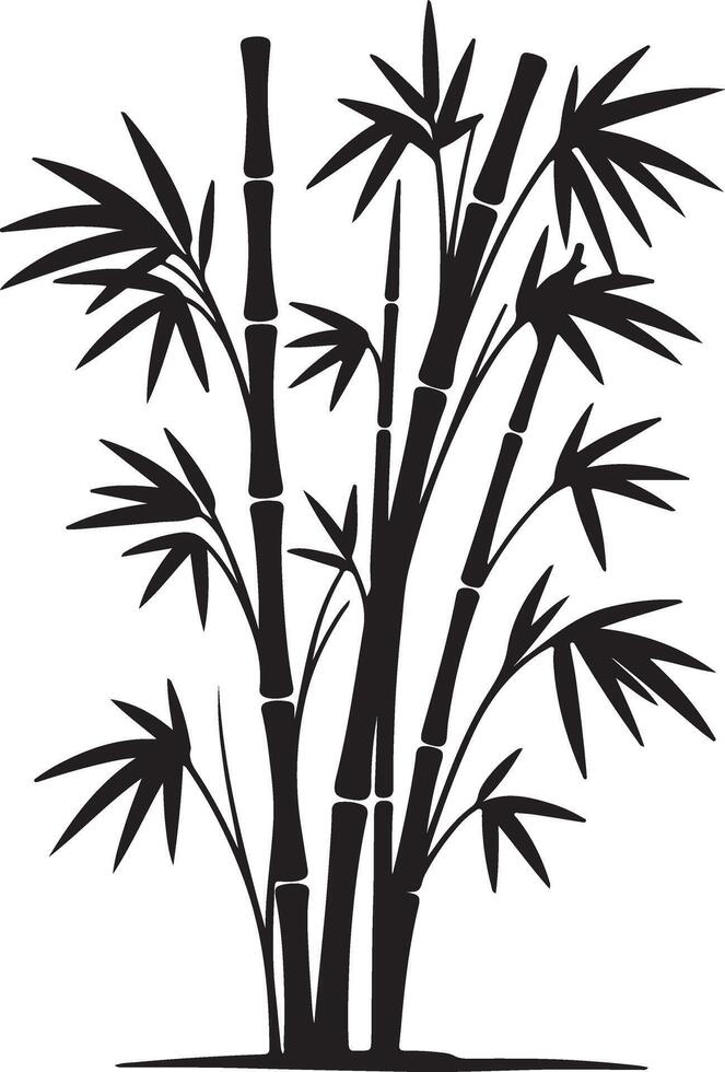 Black bamboo stalks with pointed leaves plant nature vector