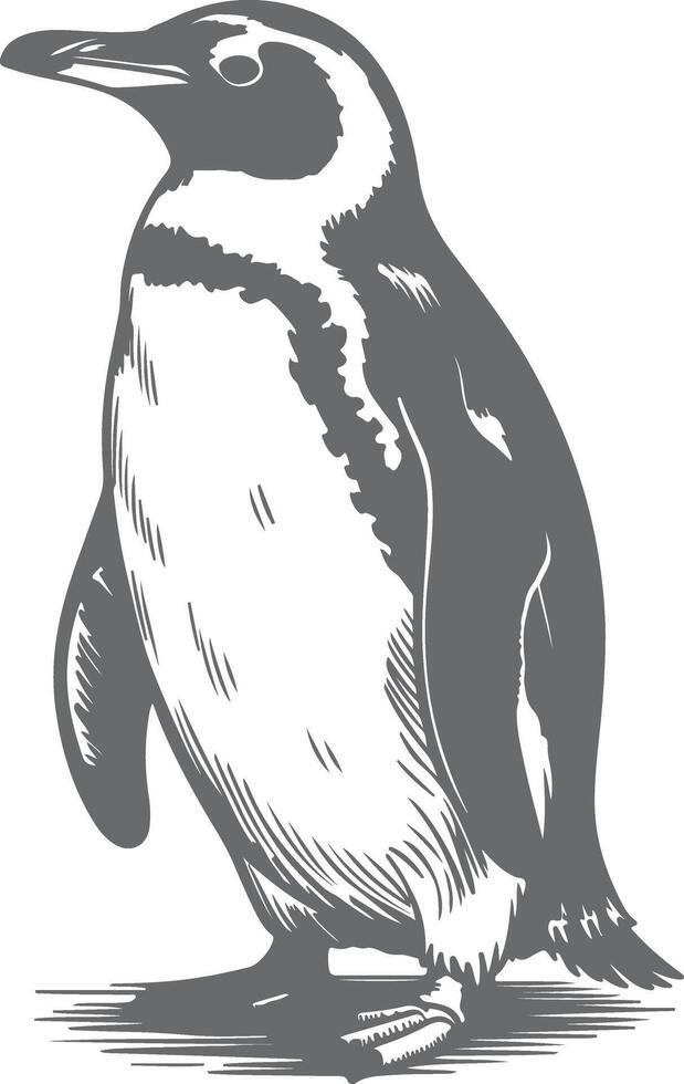 Penguin silhouette detailed sketch bird animal vector