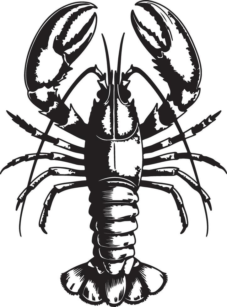 Black and White Detailed Silhouette of a Lobster Viewed from Above Showing Claws Legs and Tail vector