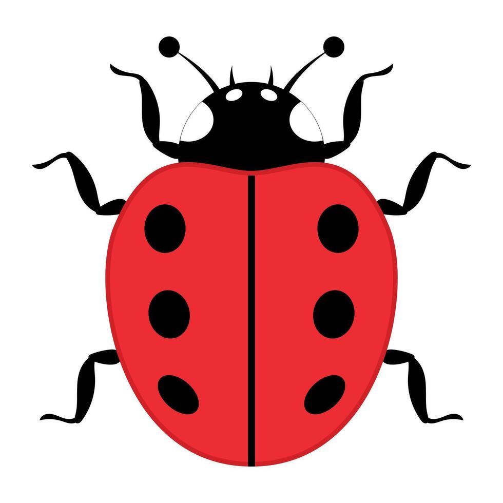 Cute Red Ladybug with Black Spots and Antennae Illustration. A bright red shell with six bold black spots, curly black legs, and two curved antennae with round tips. vector