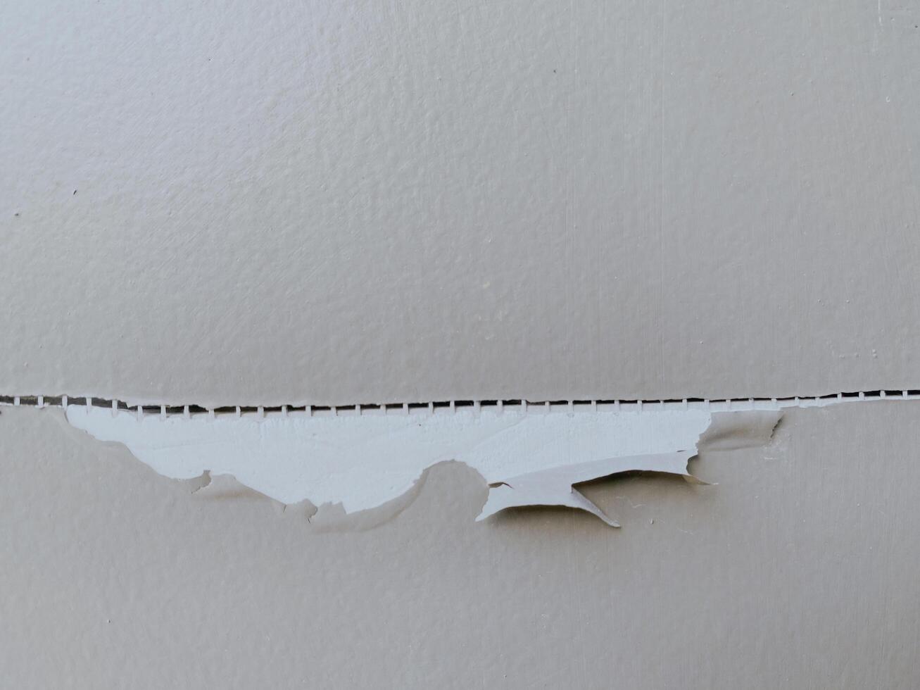 Close up of white paint is peeling off the wall. Failure of coating to properly adhere to surface. Flappy paint. photo