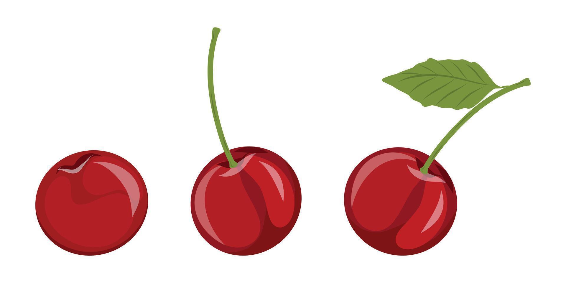 Cherry berries, set on a white background, hand drawn cherry icons vector