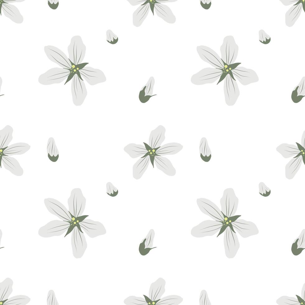 Shadberry flowers seamless pattern on a white background. Serviceberry, saskatoon, juneberry, chuckley, wild-plum, irga. vector