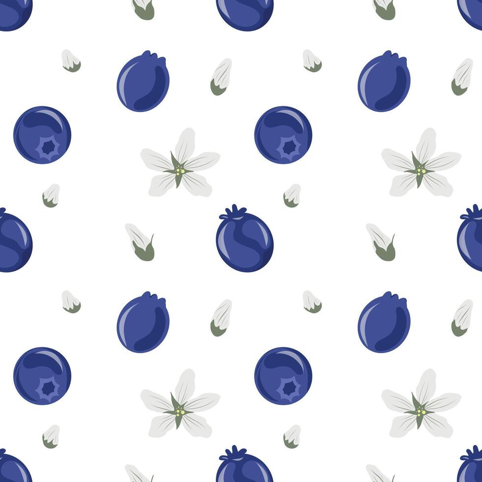 Shadberry berries and flowers seamless pattern on a white background. Serviceberry, saskatoon, juneberry, chuckley, wild-plum, irga. vector