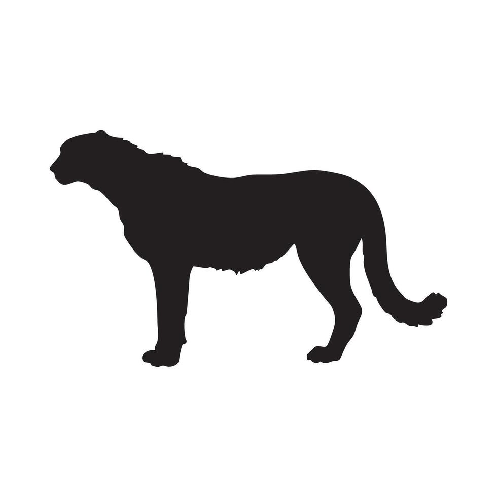 Black silhouette of a cheetah standing alert isolated on white background silhouette vector