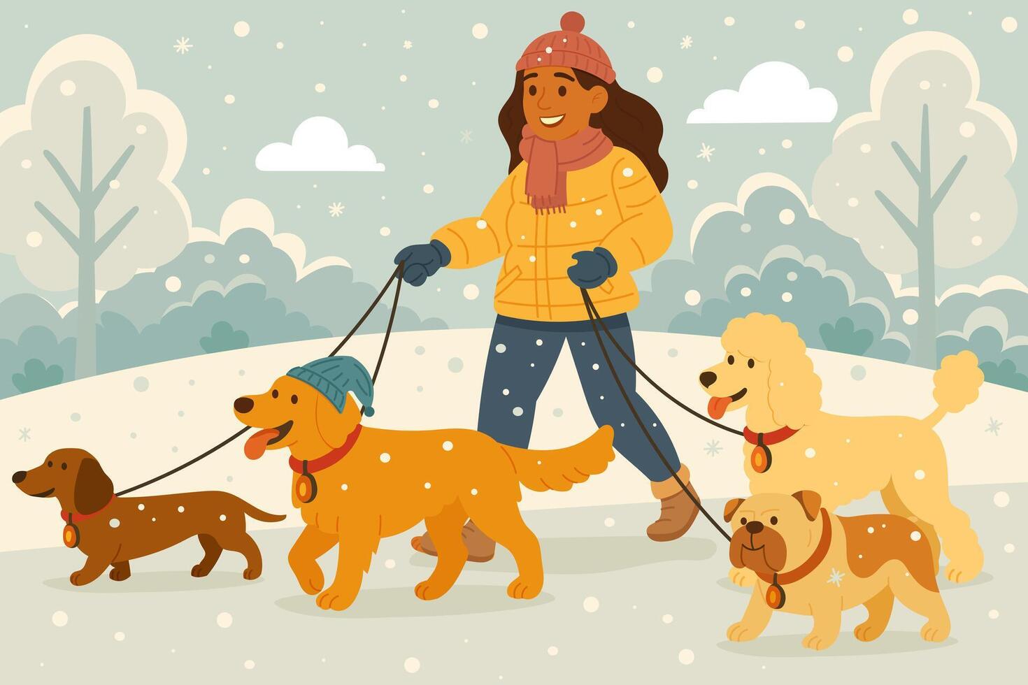 Professional dog walker with four dogs on leashes during snowy winter walk in the park vector