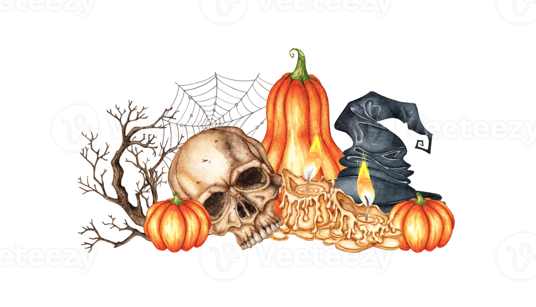 Skull with pumpkins, candles, spider web, dried flowers and witch hat watercolor illustration. Isolated on background for Halloween and Day of the Dead. For dark magic decor, gothic poster, horror. png