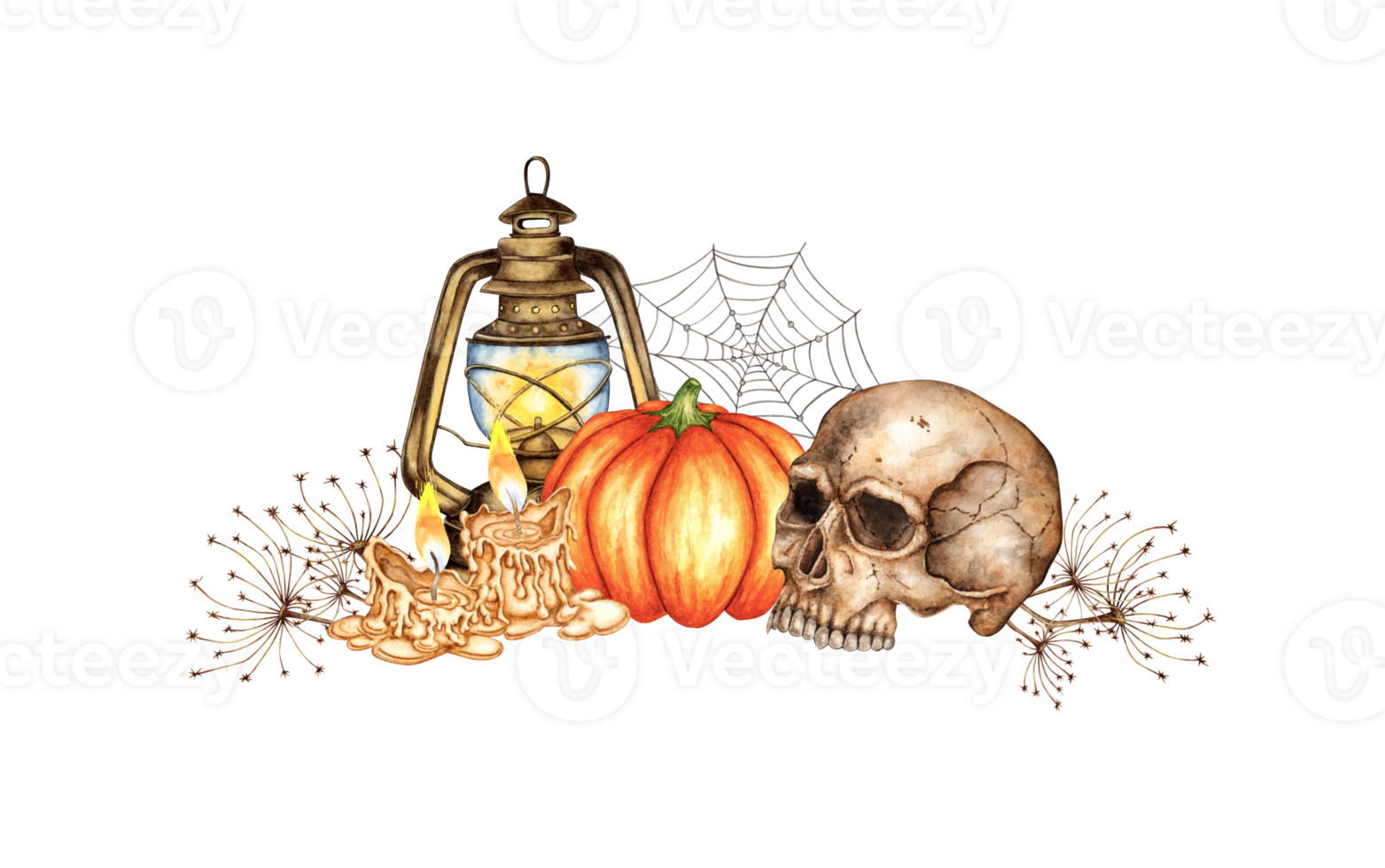 Skull with pumpkins, candles, spider web, lantern, dried flowers watercolor illustration. Isolated on background for Halloween and Day of the Dead. For dark magic decor, gothic poster, horror. png