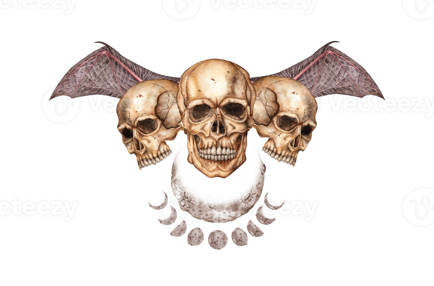 Human skulls with bat wings and moon phases watercolor illustrations. Bones creepy, horrible. Day of the dead, Halloween, Dia de los muertos. Isolated from background. Moon phases astrology. png