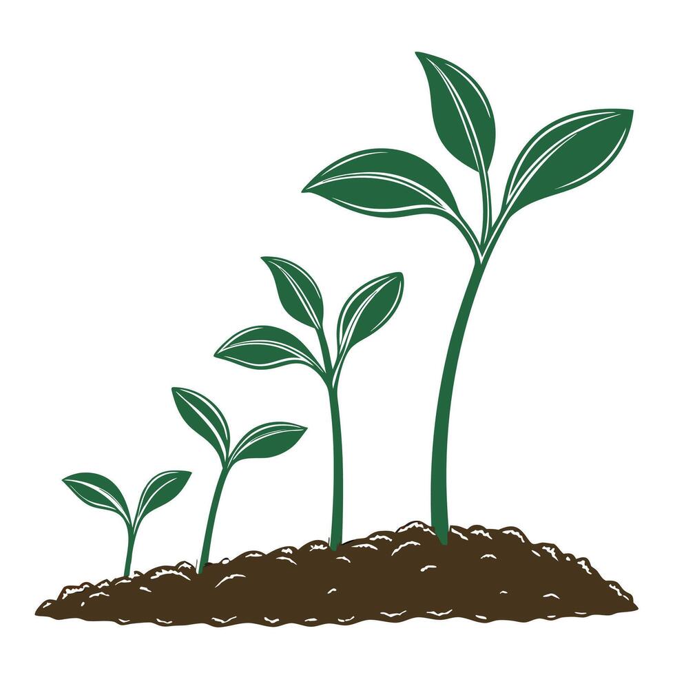 Green sprouts growing plants signs of growth vector