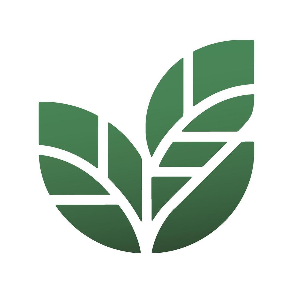 Green leaves design logos Illustration botanical vector