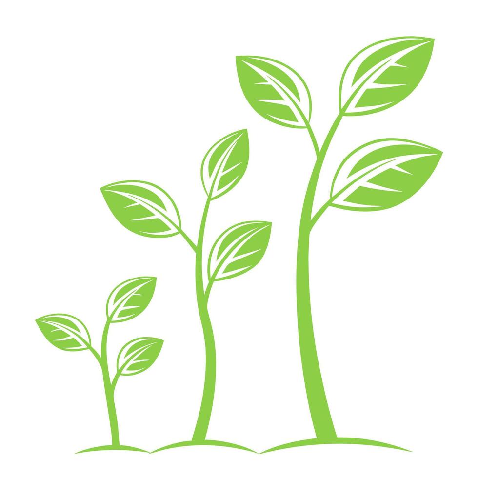 Illustration Green sprouts growing plants signs vector