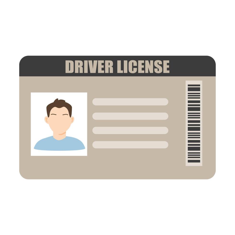 Man driver license plastic card template. Id card vector