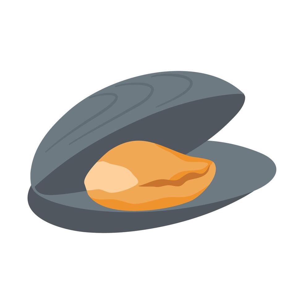 oyster seafood shellfish, oyster shells seafood vector