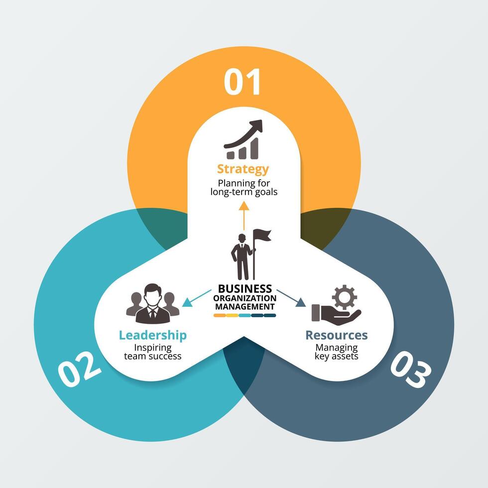 Business organization management infographic template vector