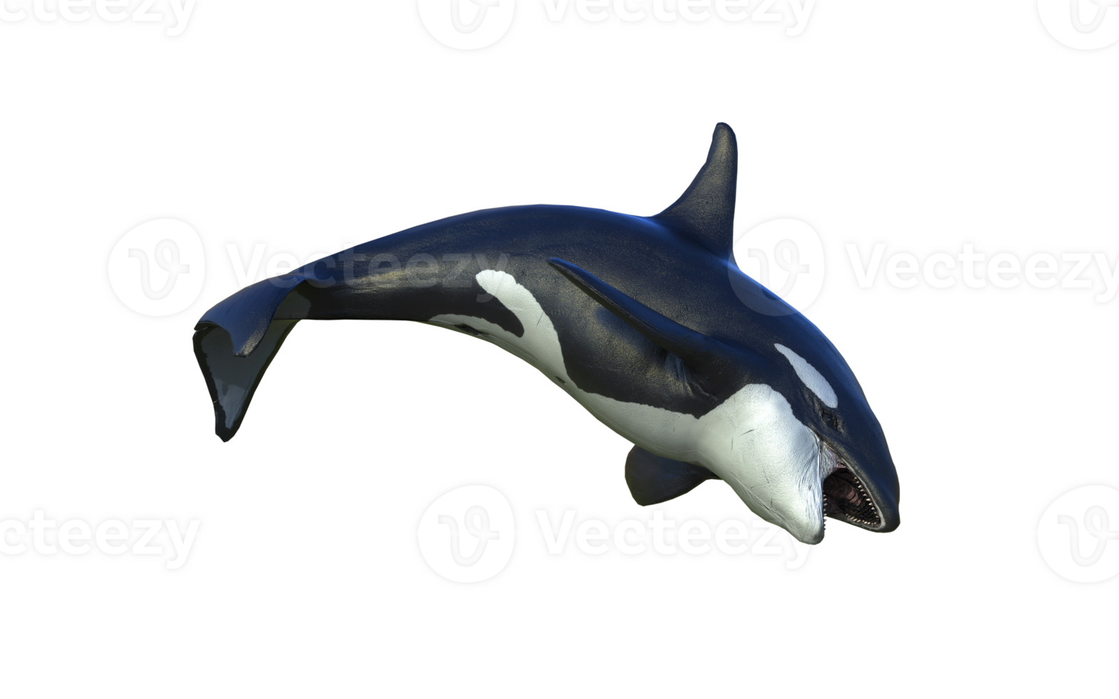 Majestic Killer Whale in death Pose png