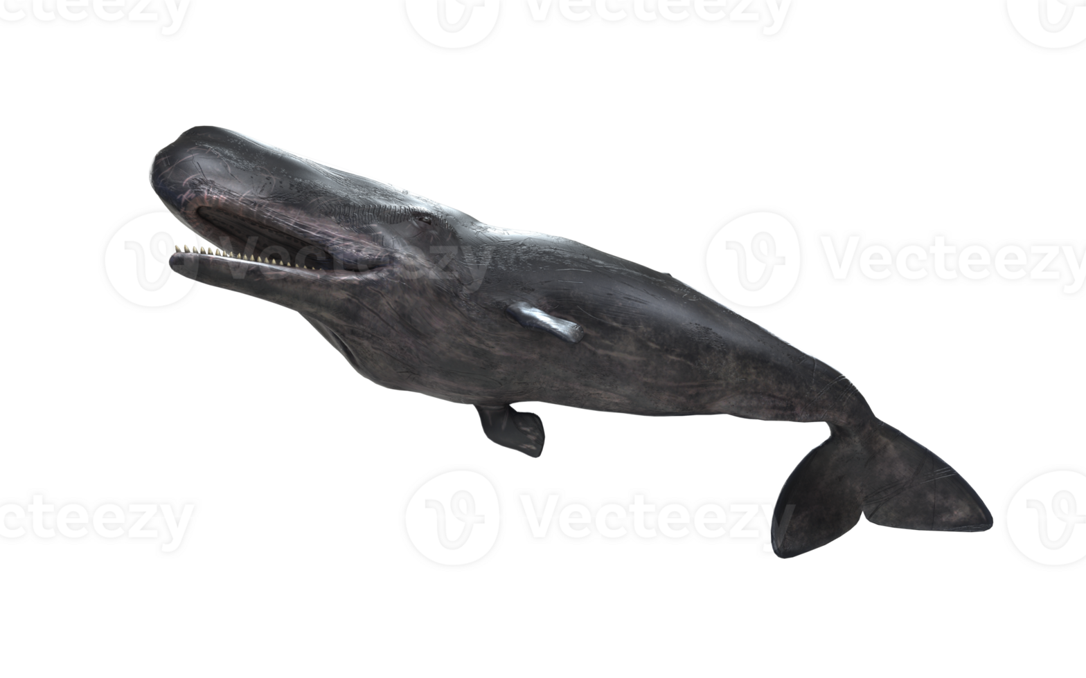 Silent Monarch of the Deep png