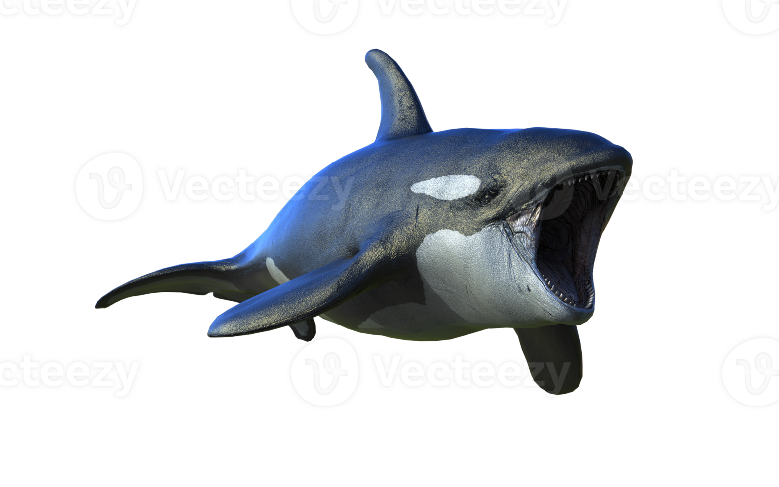 Majestic Killer Whale in aggressive pose. png