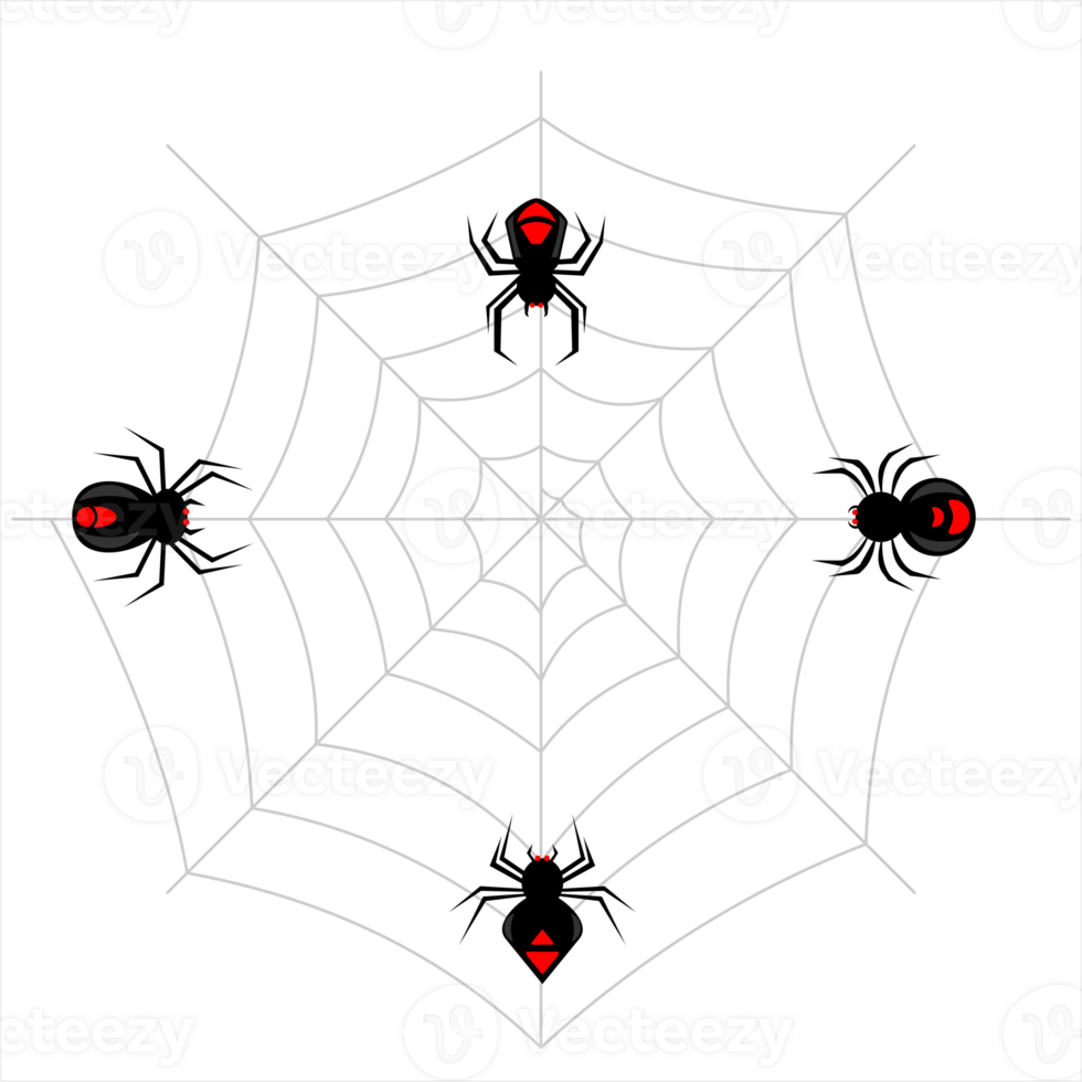 various black spiders on web. Scary black spider for Halloween png