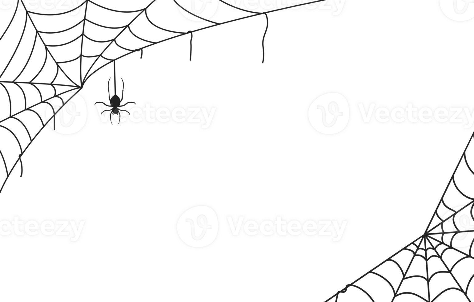 Spider web black with transparent background png