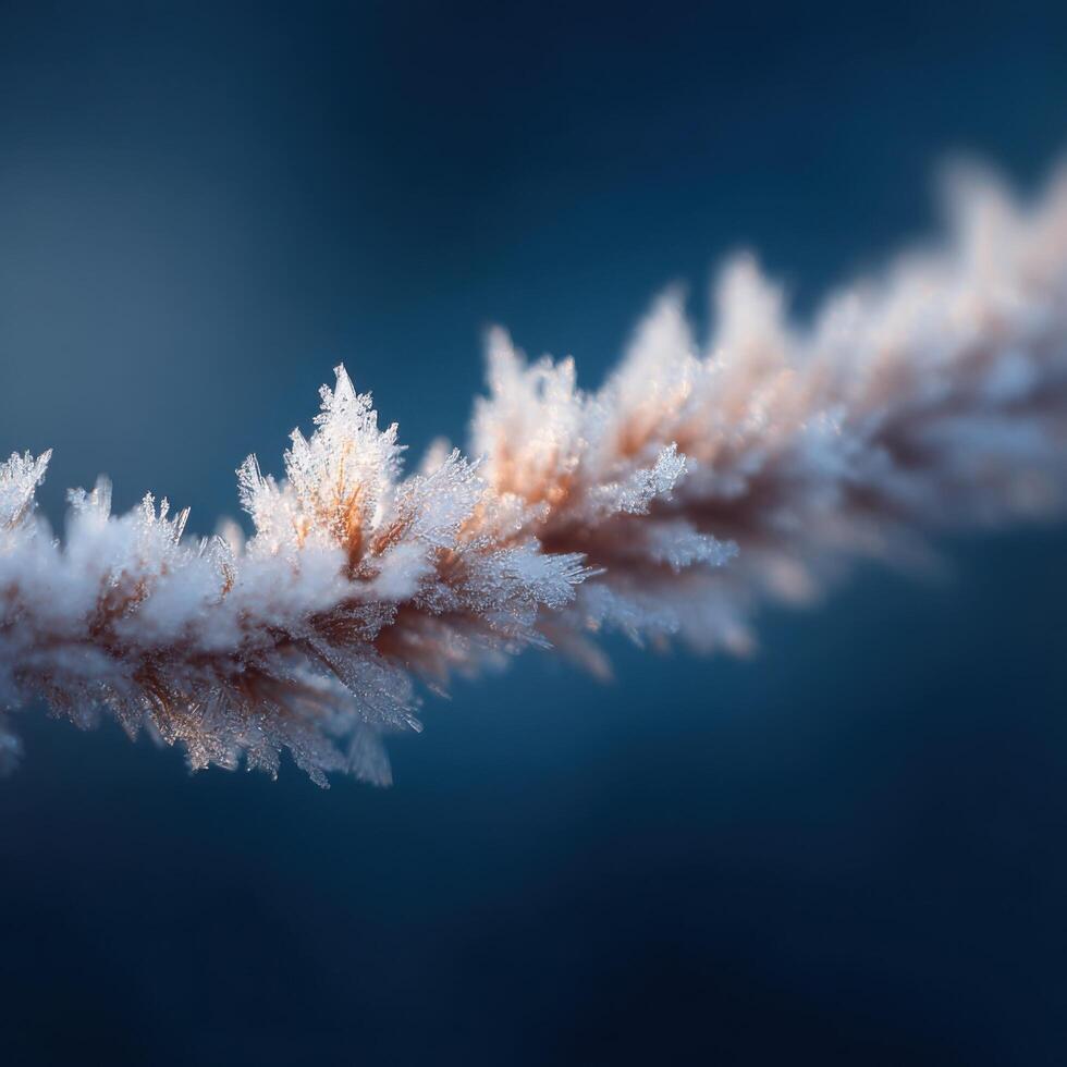 Macro Picture Of A Single Ice Grain On A Frozen Branch photo