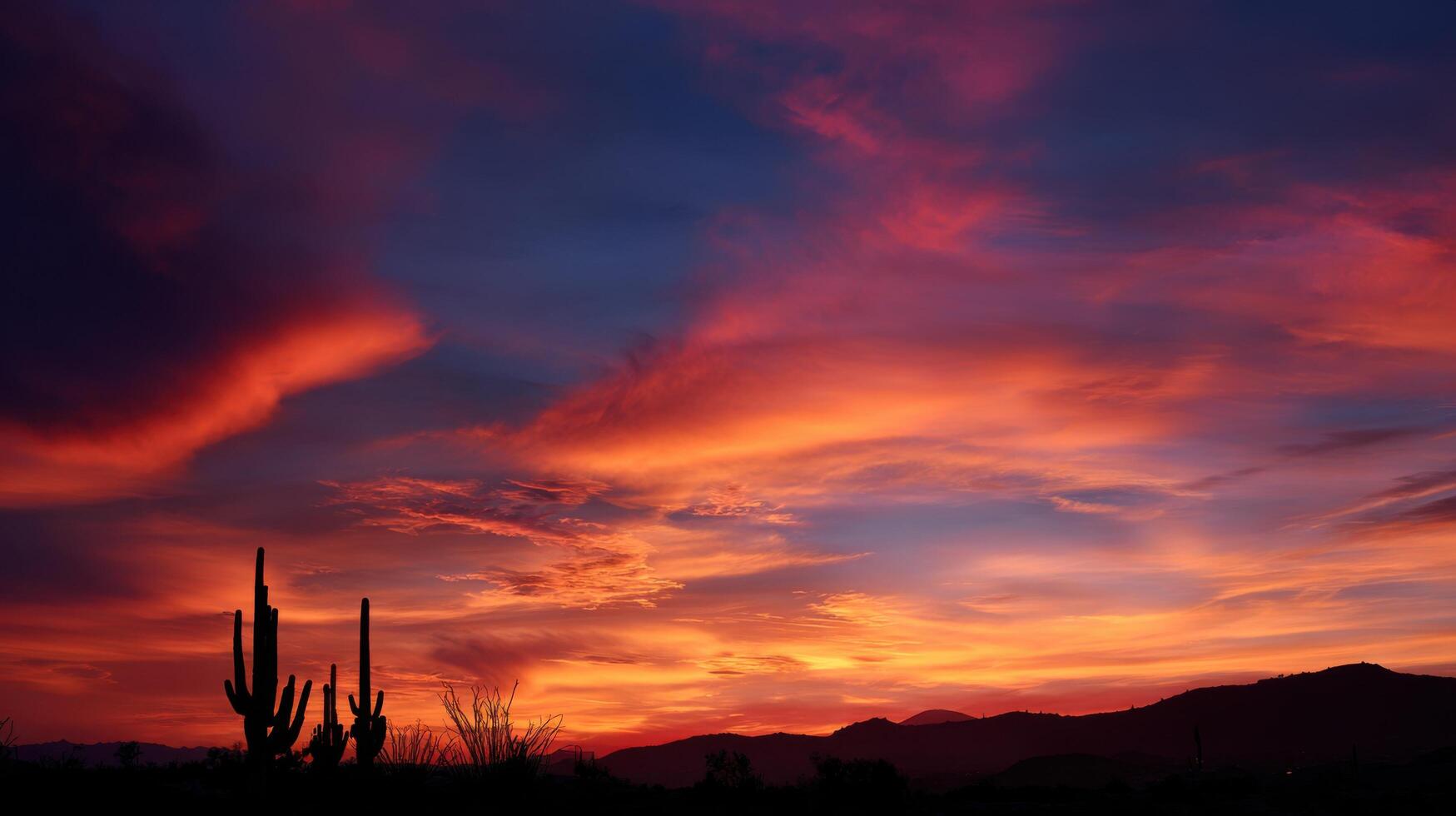 Silhouetted Cacti Against A Burning Desert Sunset photo