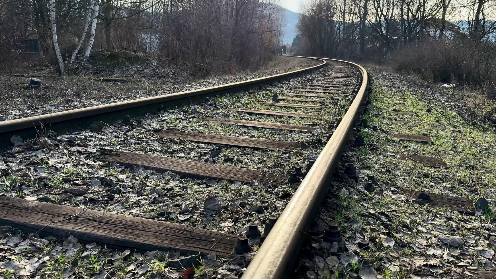 Exploring Abandoned Railway Tracks Surrounded by an Overgrown Landscape Filled with Natures Beauty photo