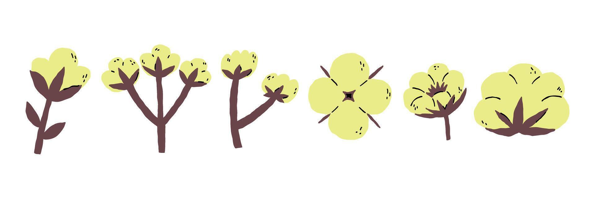 Cotton flower organic plant ball collection vector