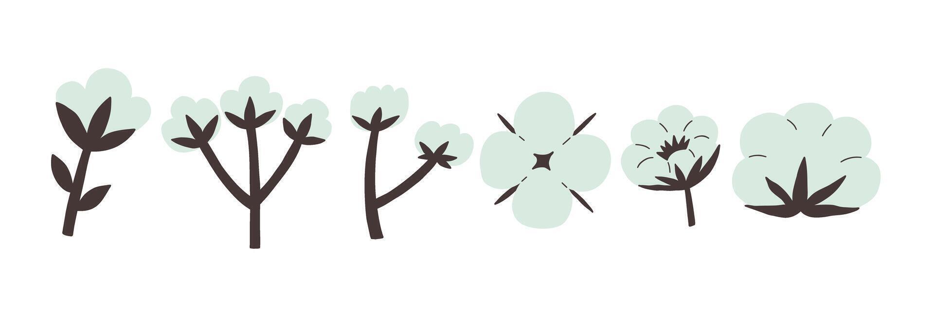 Cotton flower plant illustration soft vector
