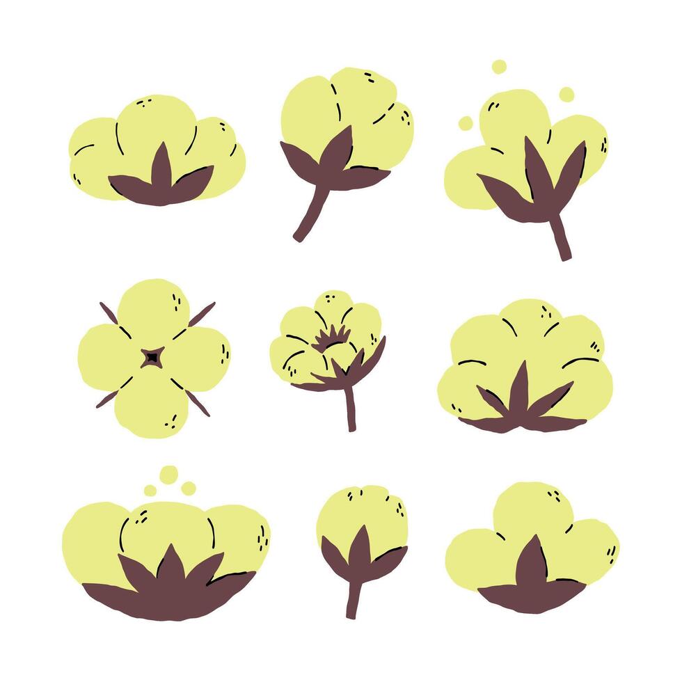 Cotton flower organic plant set vector