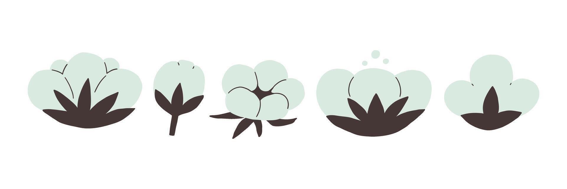 Cotton flower plant illustration collection vector