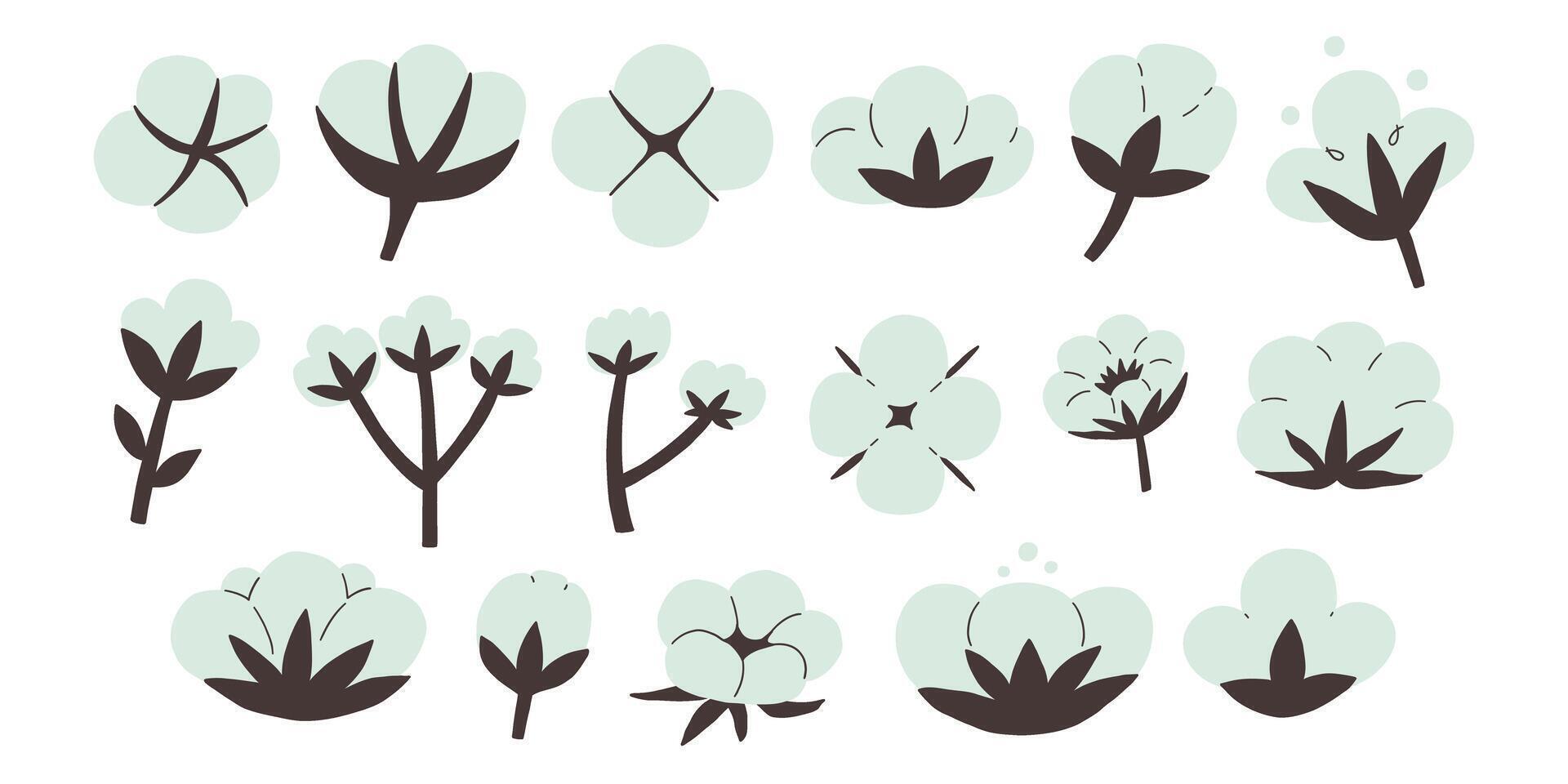 Cotton flower plant illustration vector