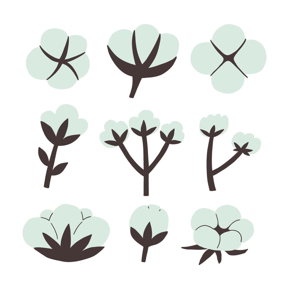 Cotton flower plant illustration bundle vector