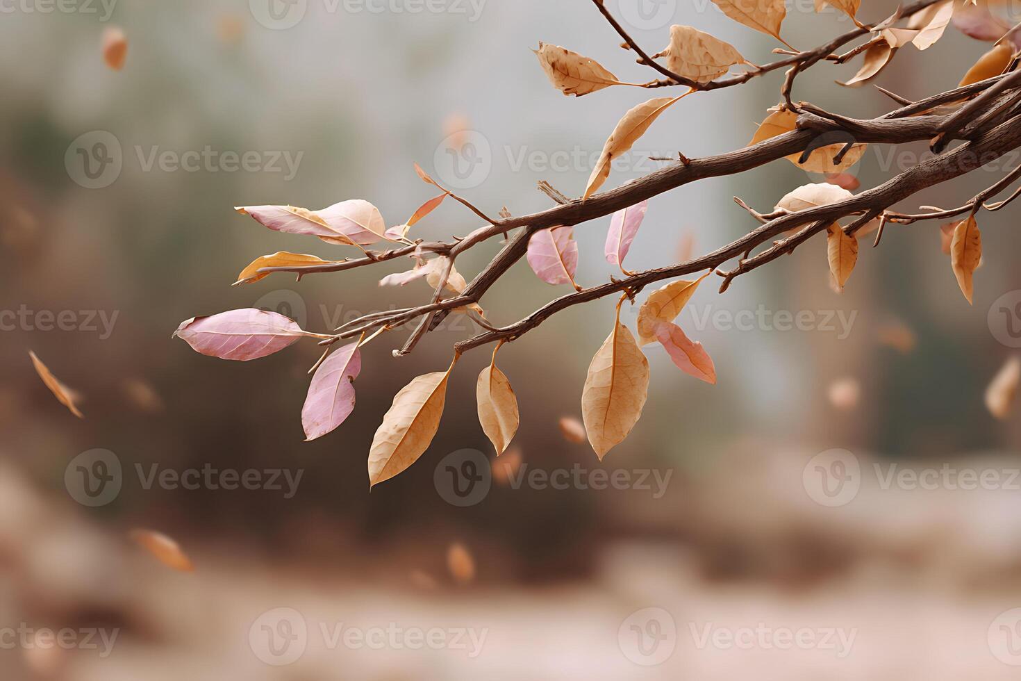Autumn leaves on a branch. photo