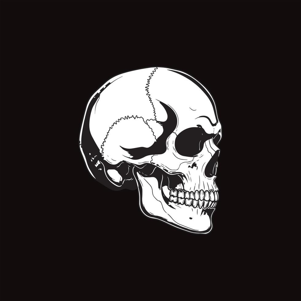 Ilustratin graphic of skull and crossbones vector