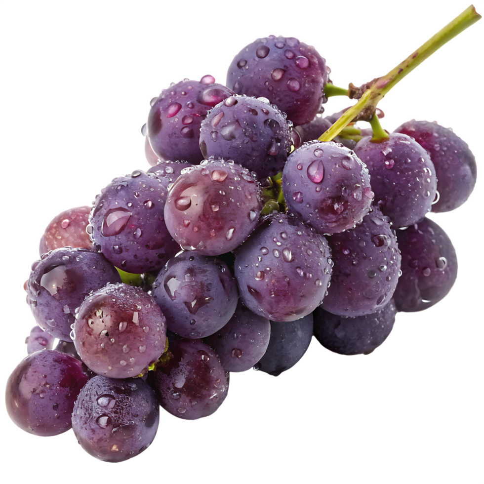 Close up of fresh purple grapes with water droplets isolated on transparent background png
