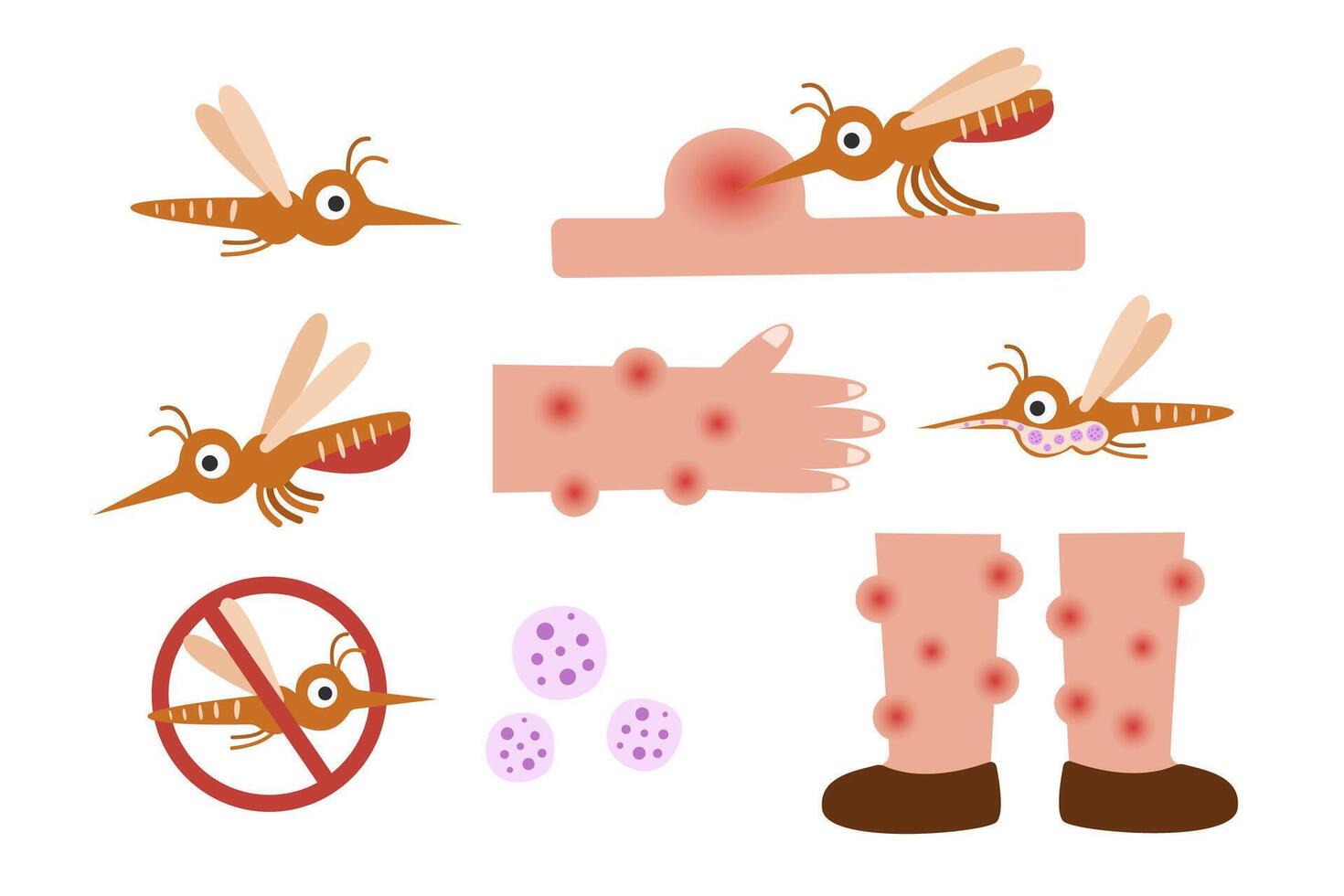Mosquito Insect Pest carrier of malaria vector