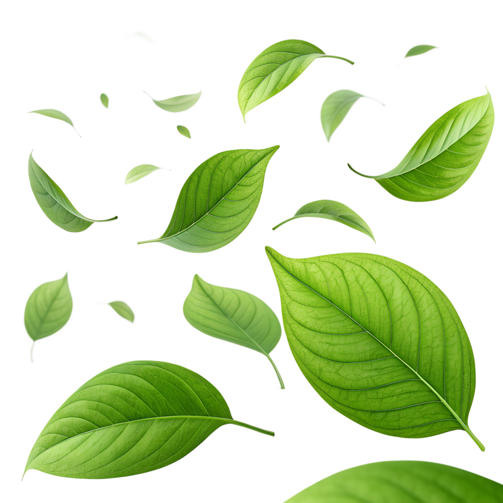 3D Floating Green Leaves Swirling Gently in Air png