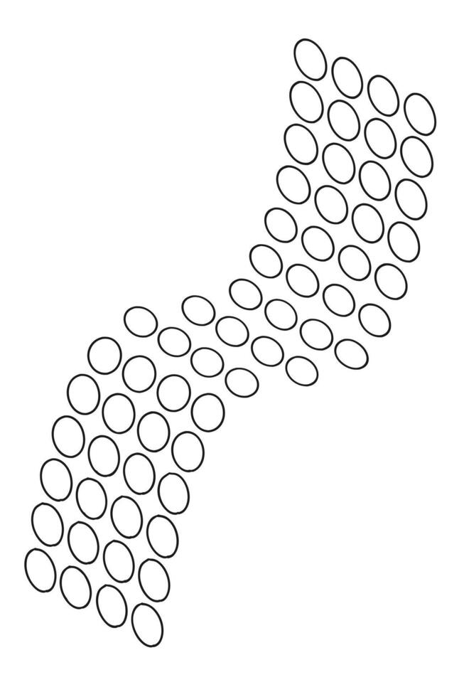 A pattern of black outlined ovals arranged in a curving, parallel formation against a plain white background vector