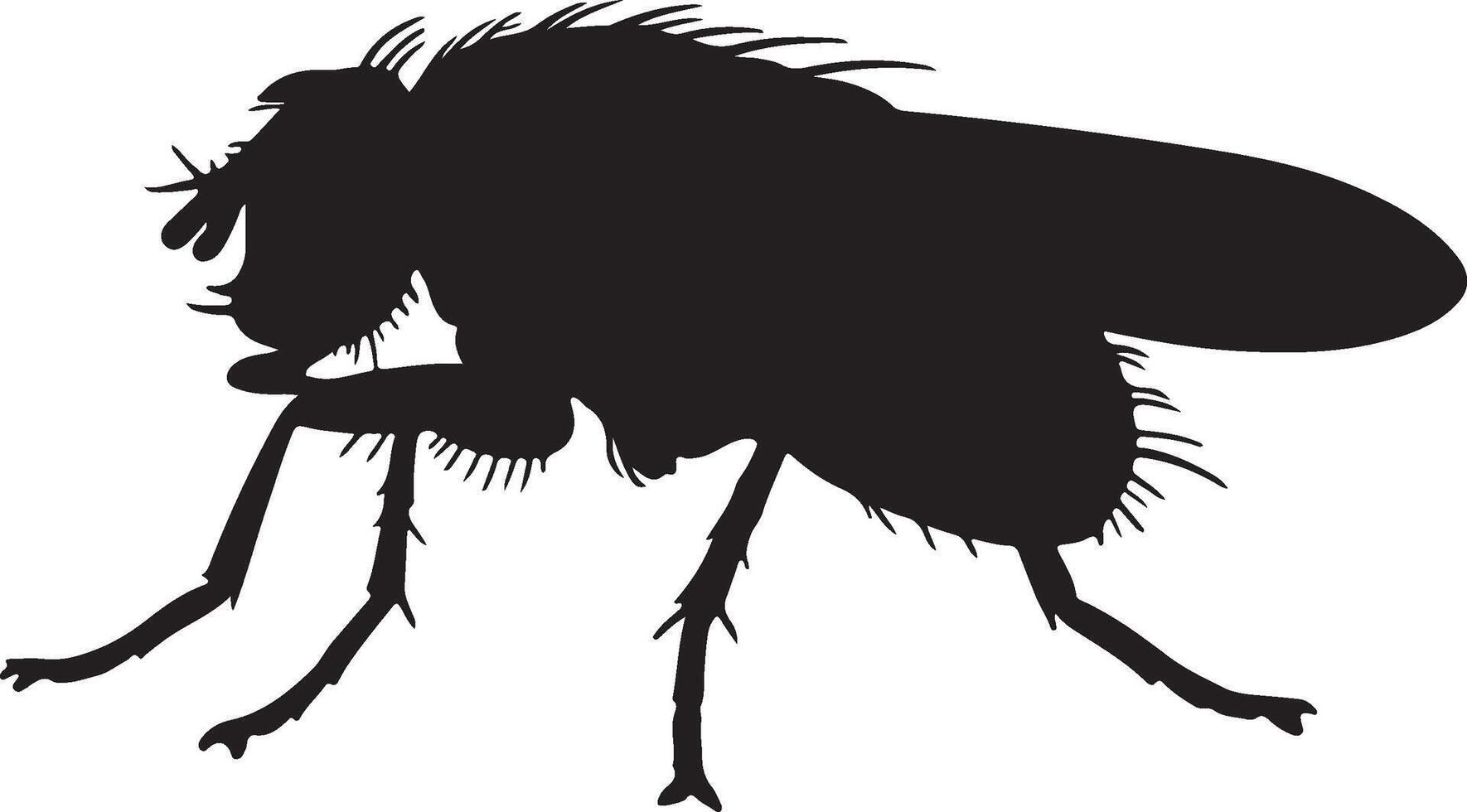 Hessian Fly Silhouettes vector