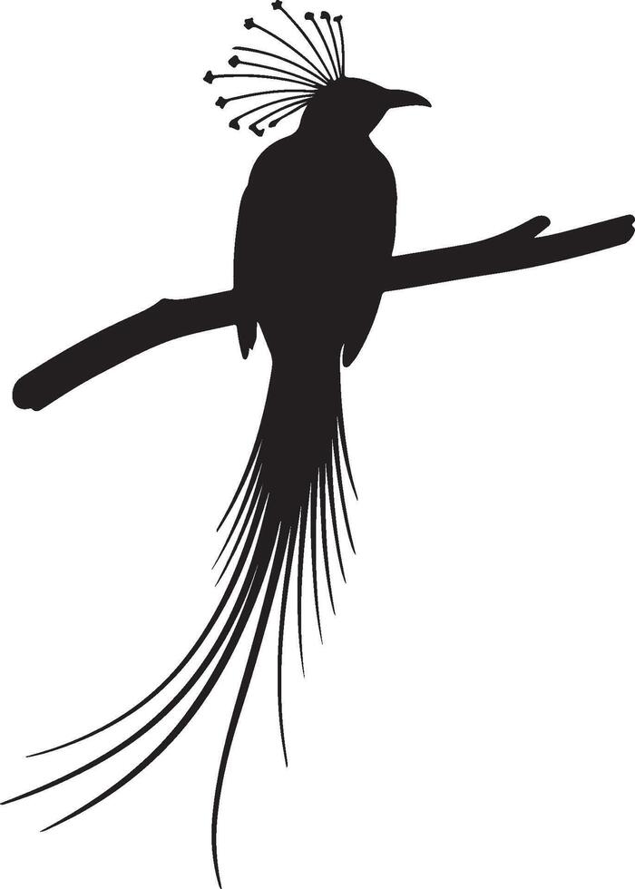 Bird of Paradise Solid black silhouette vector