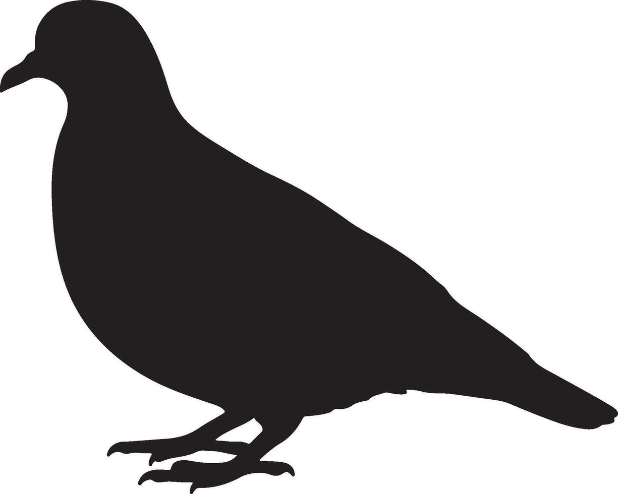 Emerald Dove Silhouettes vector