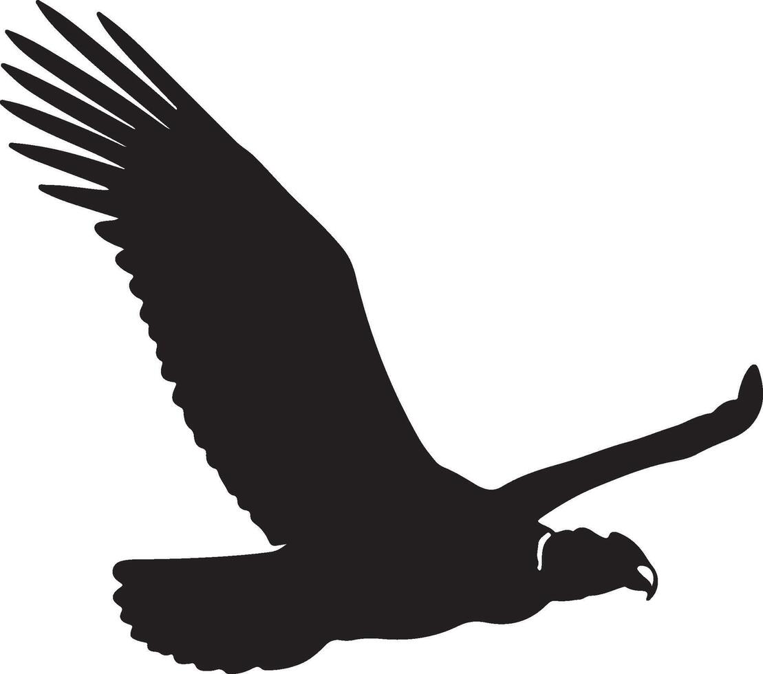 Andean Condor Solid black silhouette vector