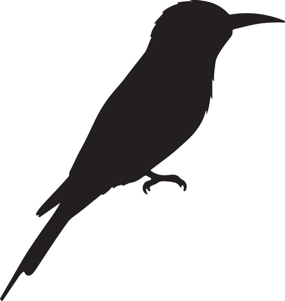 European Bee-Eater Solid black silhouette vector