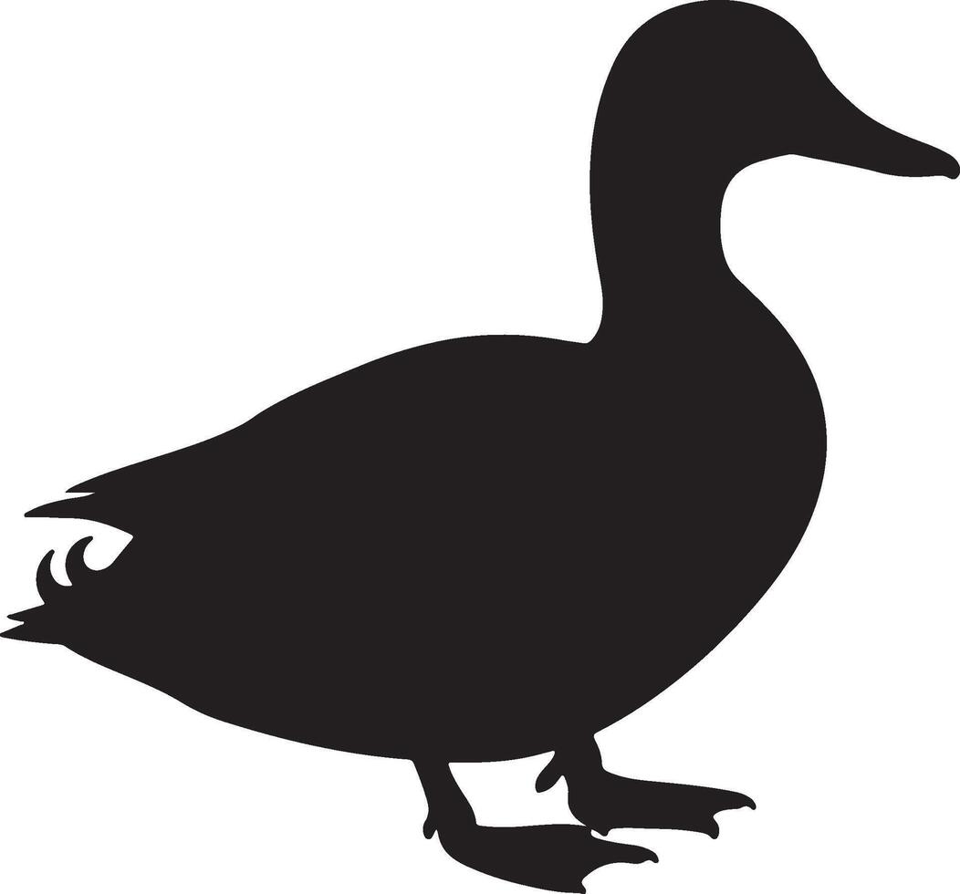 Duck Silhouettes on with background vector